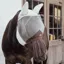 Kentucky Classic Fly Mask with Ears and Nose Fringe - Silver