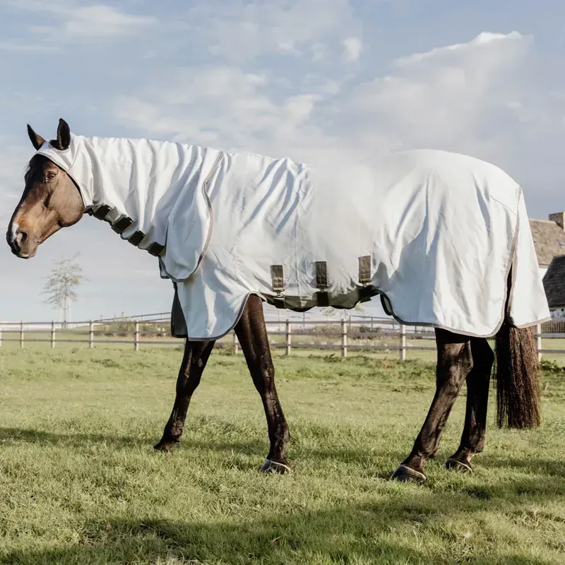Kentucky Eczema Fixed Neck Sweet-Itch Fly Sheet - Grey-2
