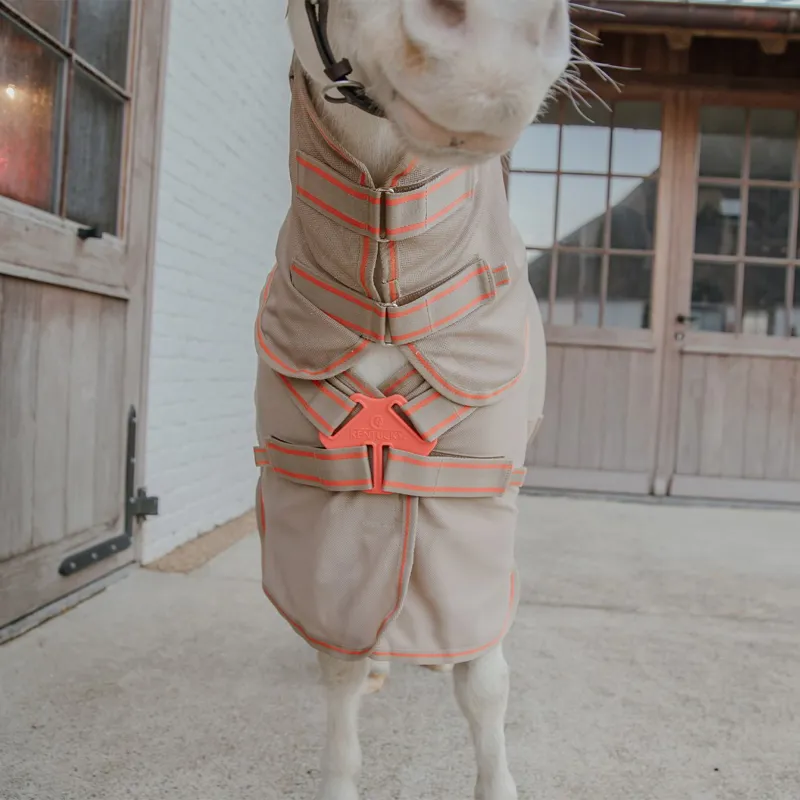 Kentucky Mesh Comfort Detachable Neck Fly Sheet - Beige/Orange-6