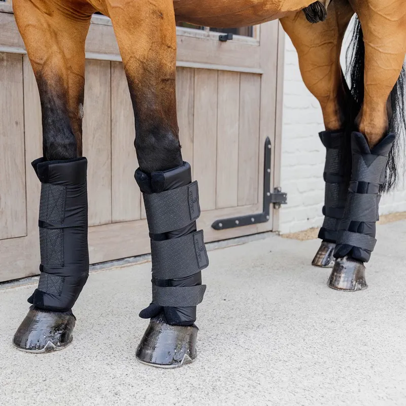 Kentucky PROtect Classic Stable/Travel Hind Boots - Black-5
