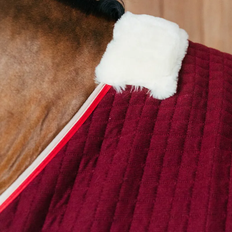 Kentucky PROTherm Cooler - Bordeaux-1