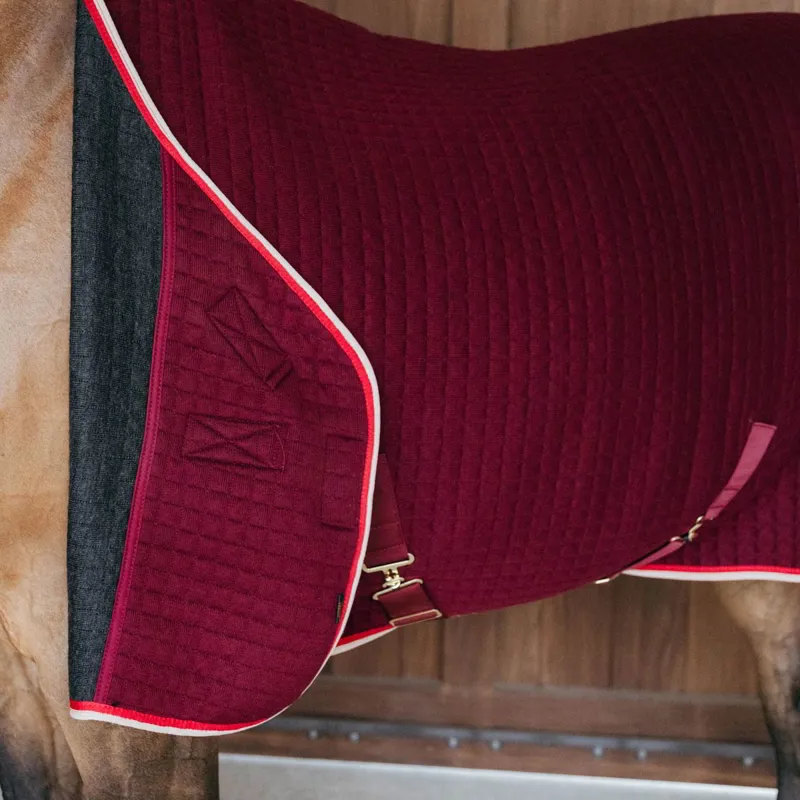 Kentucky PROTherm Cooler - Bordeaux-4