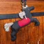 Kentucky Relax Horse Toy - Janosch
