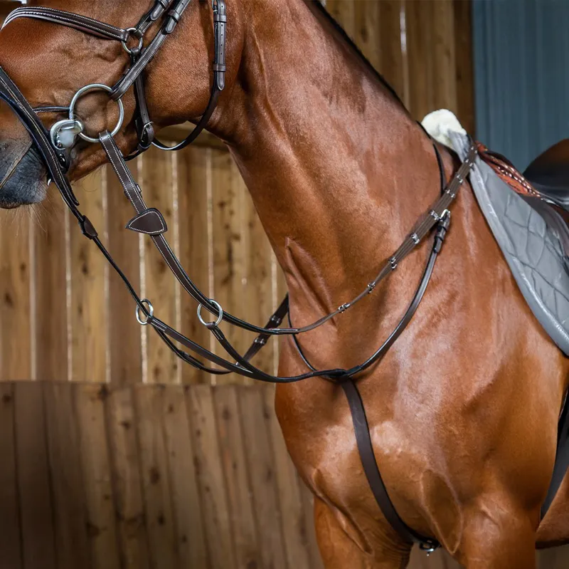 Dy'on Working Collection Running Martingale - Brown