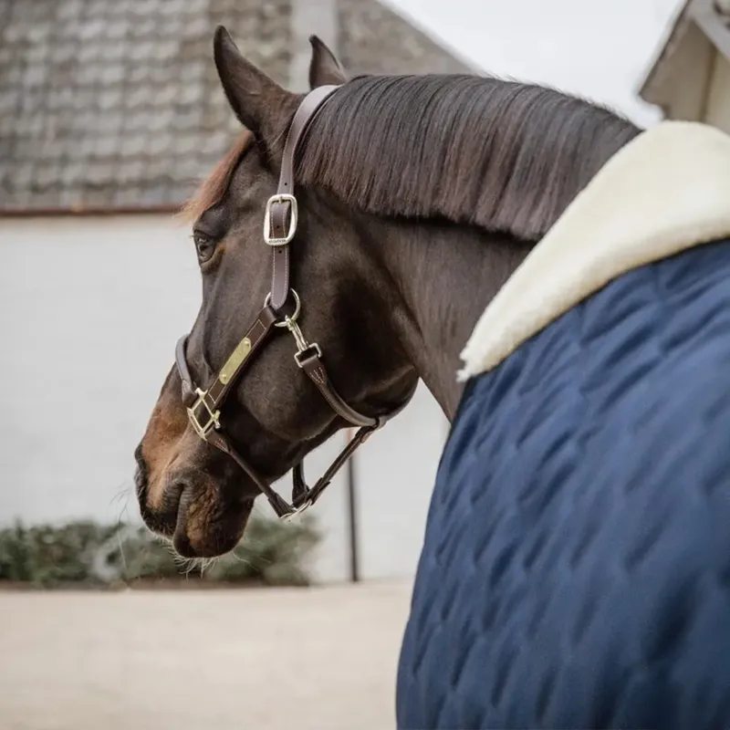 Kentucky 100g Comfort Stable Blanket - Navy-2