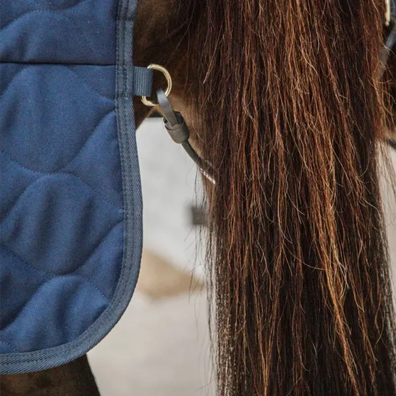 Kentucky 100g Comfort Stable Blanket - Navy-5