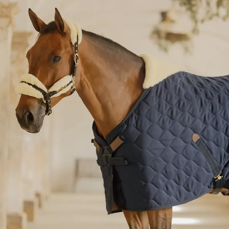 Kentucky 300g Comfort Stable Blanket - Navy-2