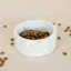 Kentucky Stone Terrazzo Dog Bowl - Beige
