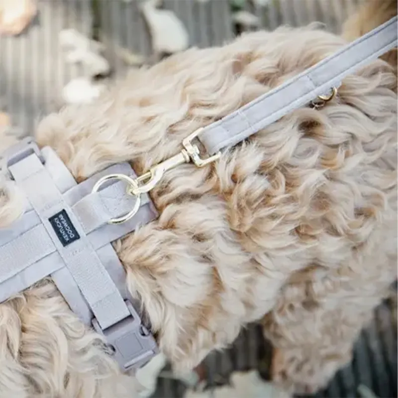 Kentucky Velvet Dog Leash - Beige-3