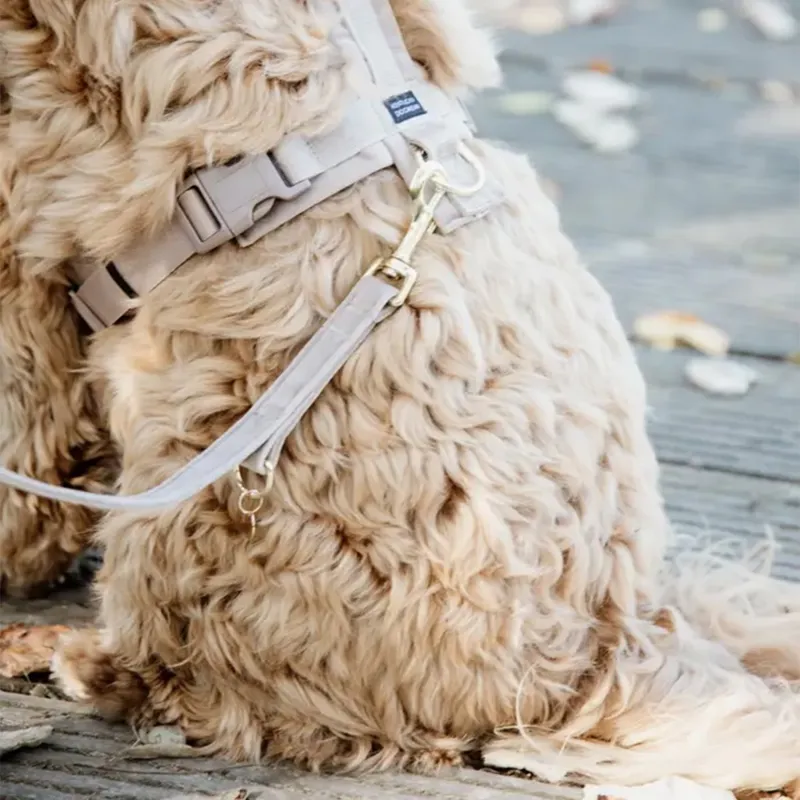 Kentucky Velvet Dog Leash - Beige-1