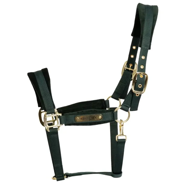 Kentucky Velvet Halter Pine Green-1