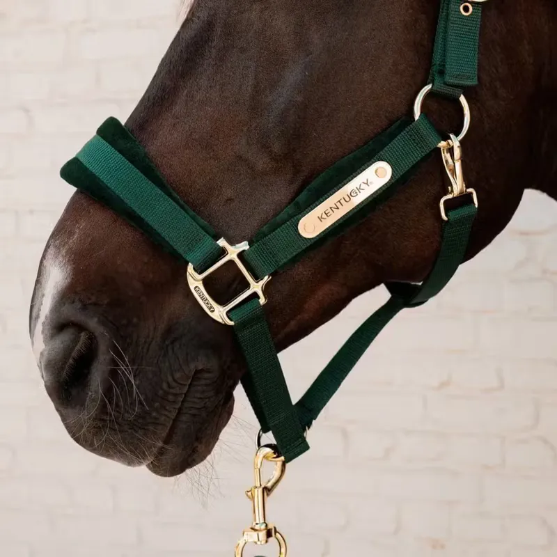 Kentucky Velvet Halter Pine Green-2