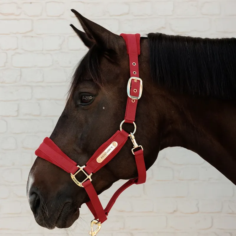 Kentucky Velvet Halter - Red
