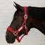 Kentucky Velvet Halter - Red