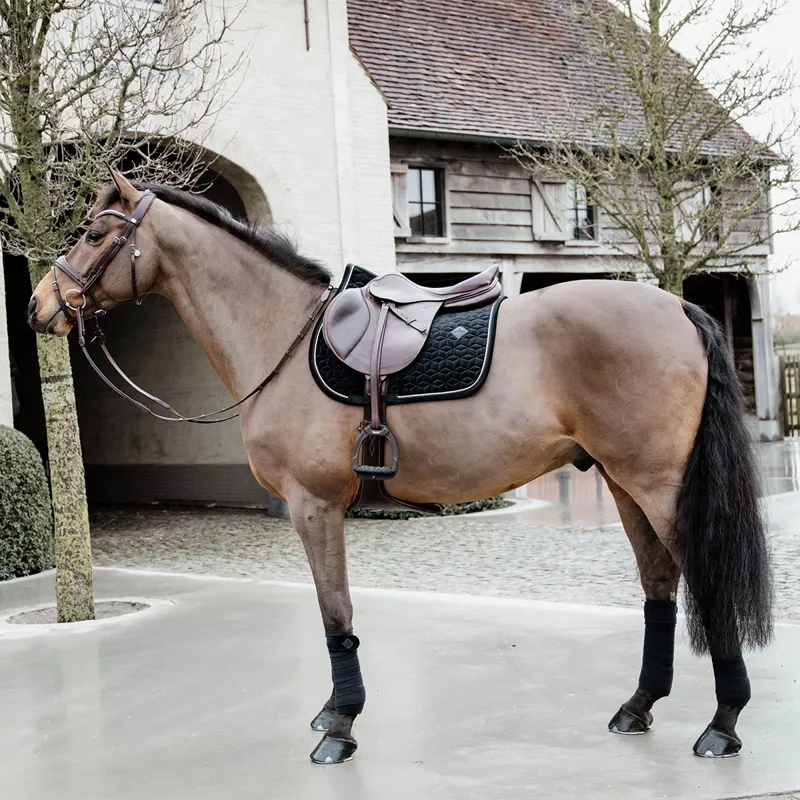 Kentucky Velvet Jumping Saddle Pad - Black-2