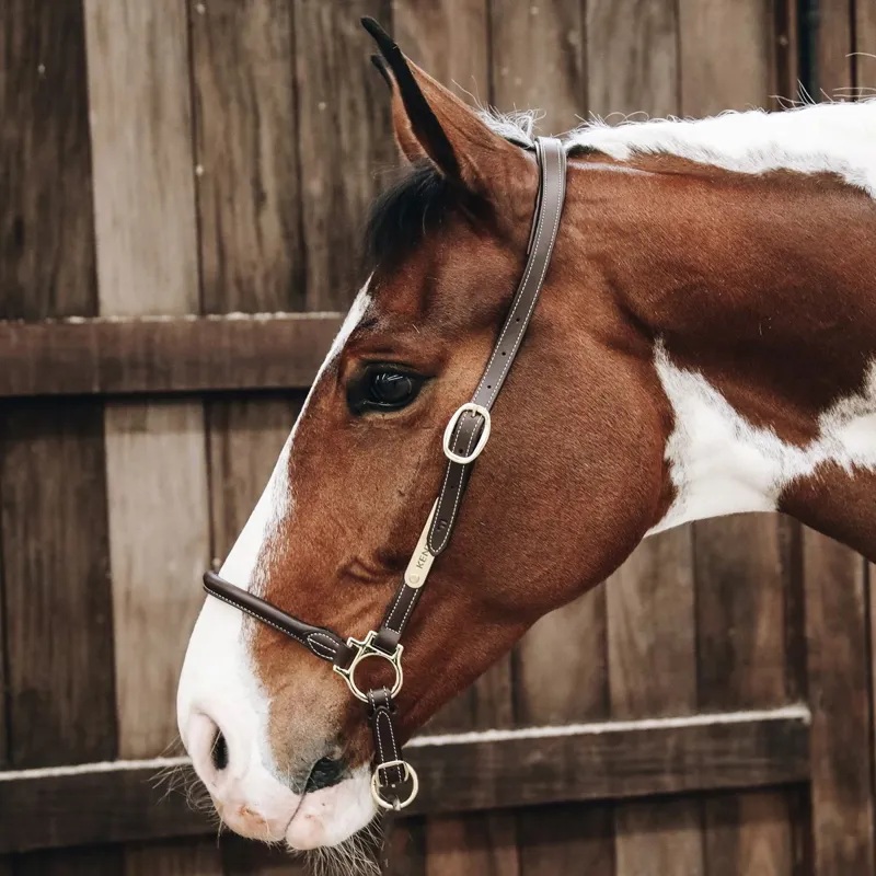 Kentucky Grooming Halter - Brown