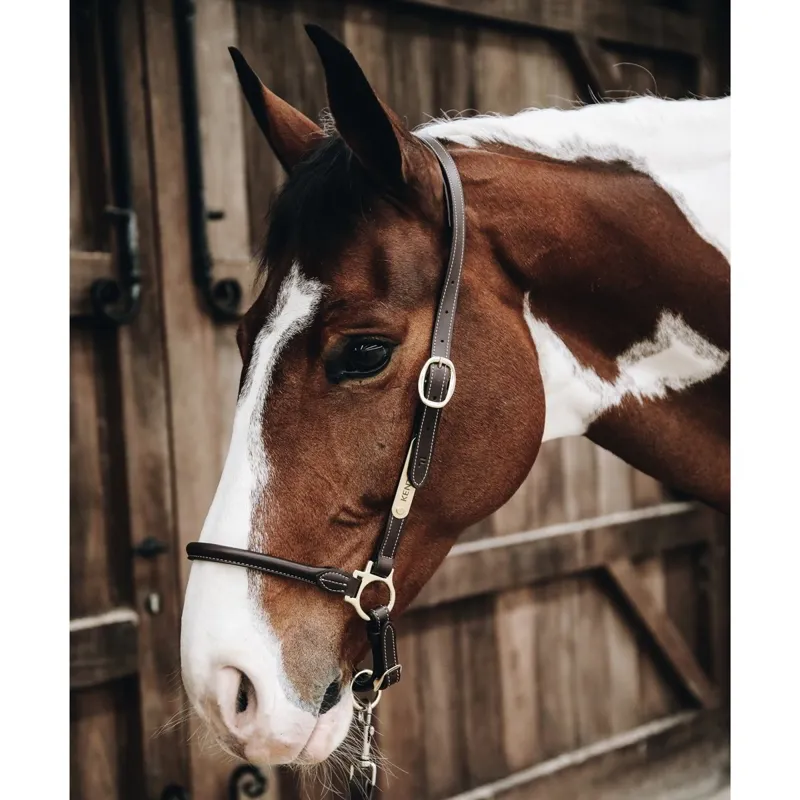 Kentucky Grooming Halter - Brown-1