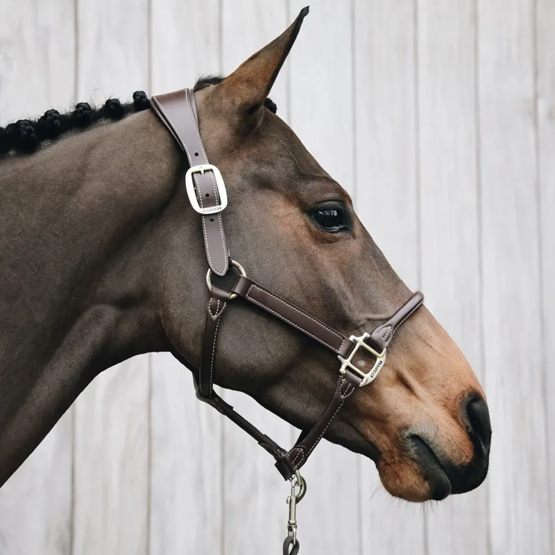 Kentucky Anatomic Artificial Leather Halter - Brown-1