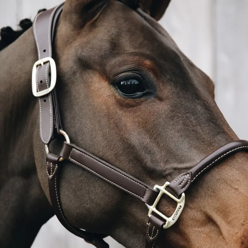 Kentucky Anatomic Artificial Leather Halter - Brown-3