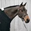 Kentucky Anatomic Artificial Leather Halter - Brown