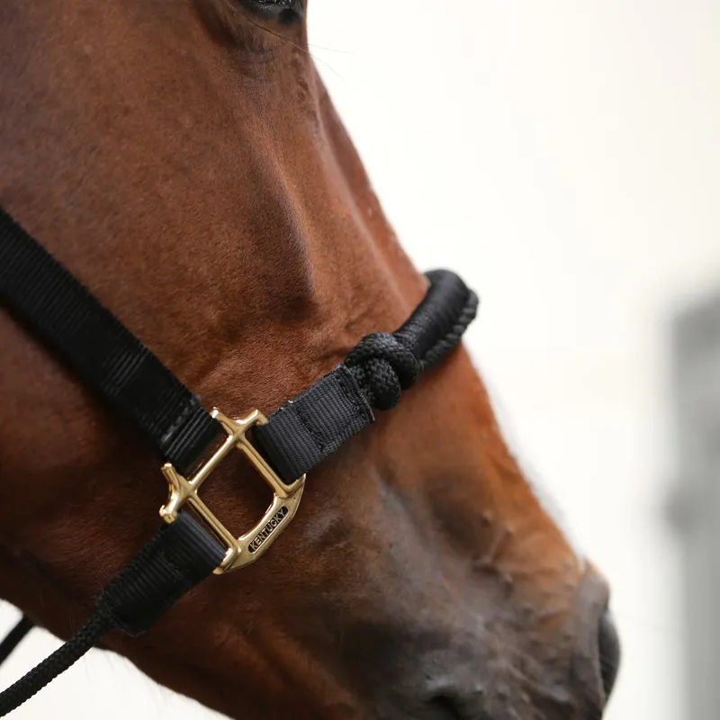 Kentucky Control Halter - Black-2
