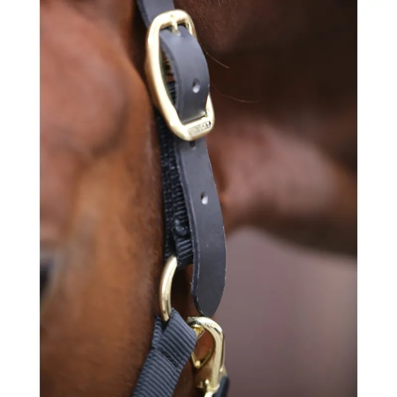 Kentucky Control Halter - Black-1