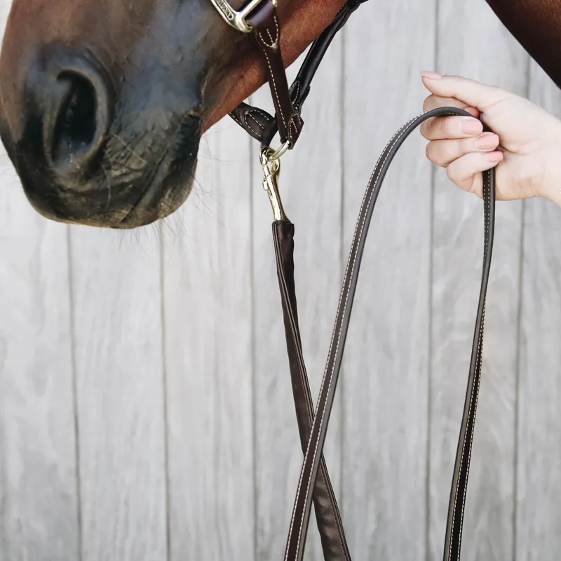 Kentucky Artificial Leather Covered Lead Chain - Brown-3
