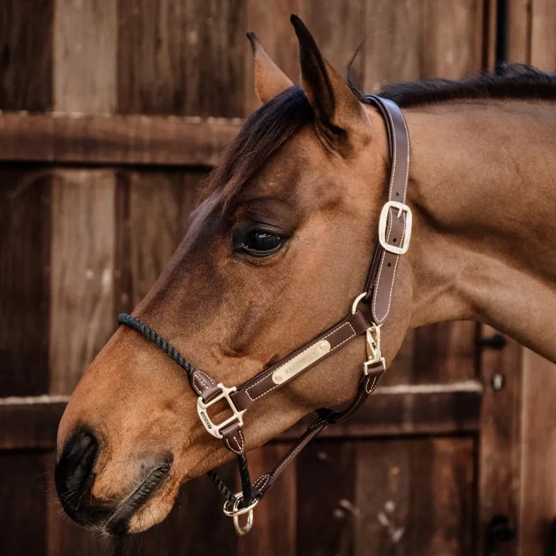 Kentucky Artificial Leather Rope Halter - Brown