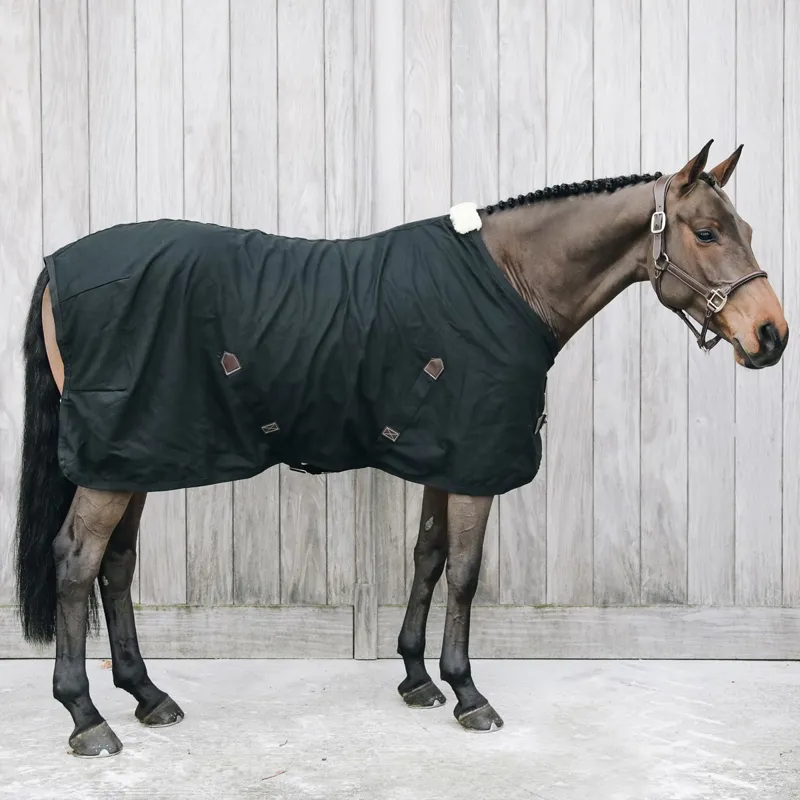 Kentucky Cotton Sheet Standard Neck - Black