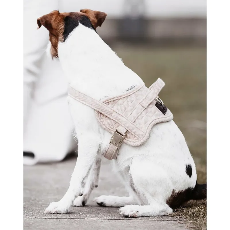 Kentucky Body Safe Dog Harness - Beige