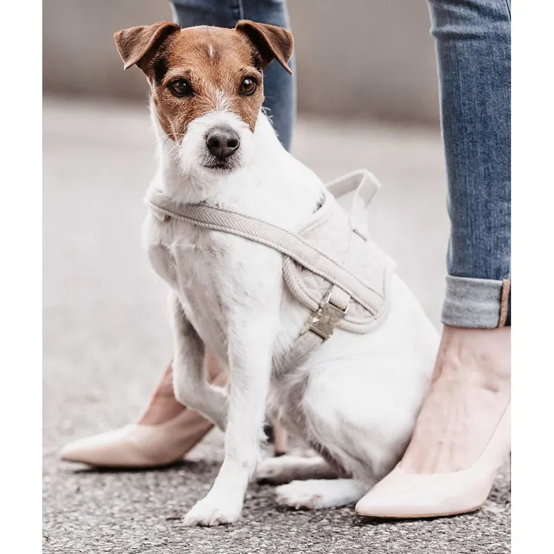 Kentucky Body Safe Dog Harness - Beige-1