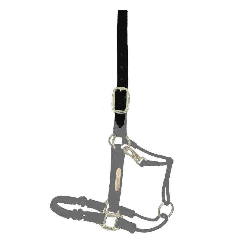 Kentucky Control Halter Spare Headpiece - Black