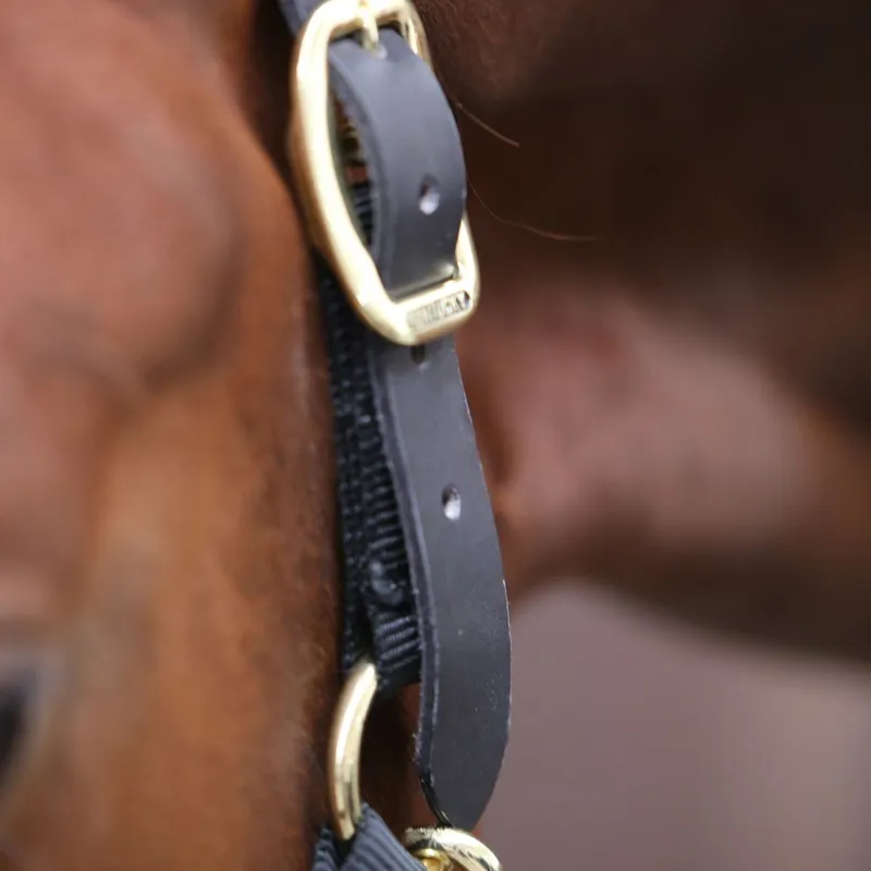 Kentucky Control Halter Spare Headpiece - Black-2