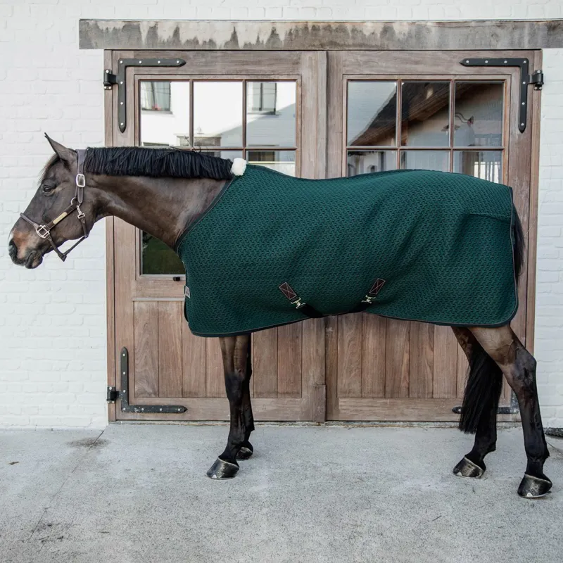 Kentucky 4D Spacer Cooler - Pine Green