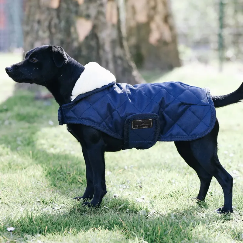 Kentucky Original Dog Coat - Navy-2