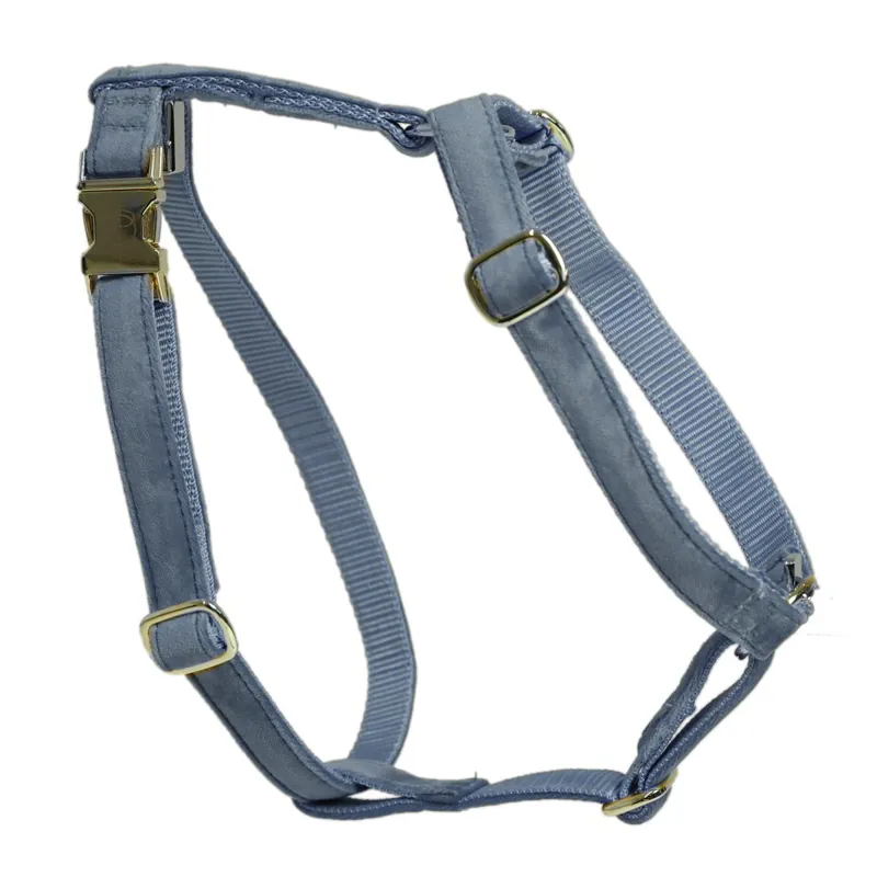 Kentucky Velvet Loop Dog Harness - Light Blue-2