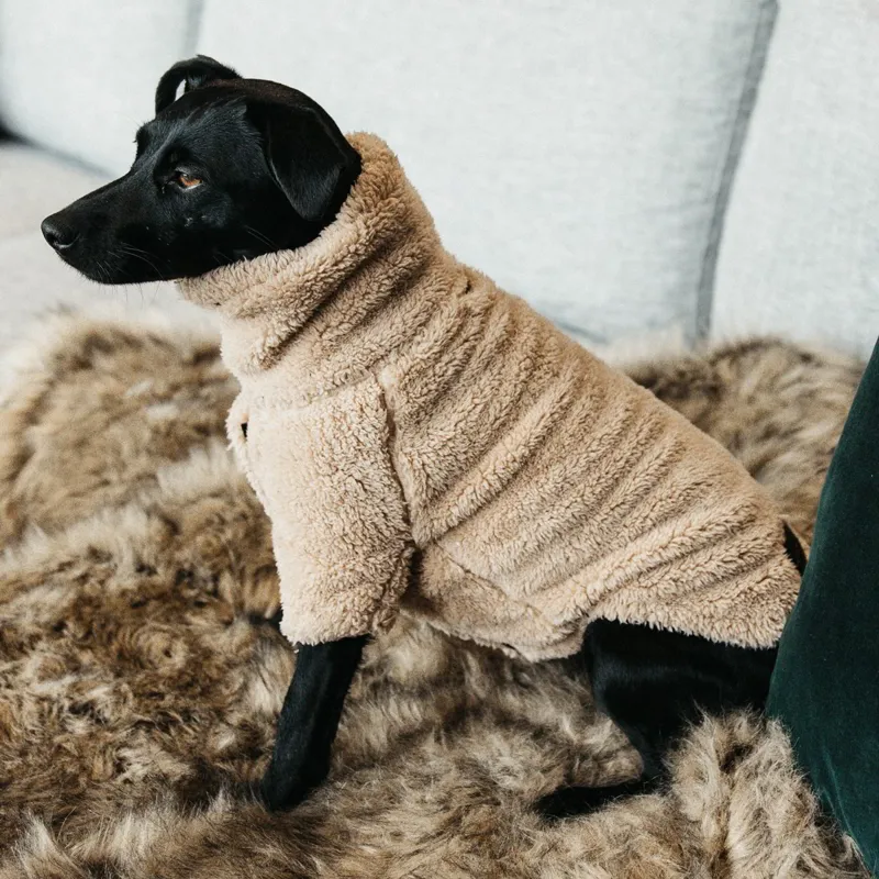 Kentucky Teddy Fleece Sweater Dog Coat - Beige-1
