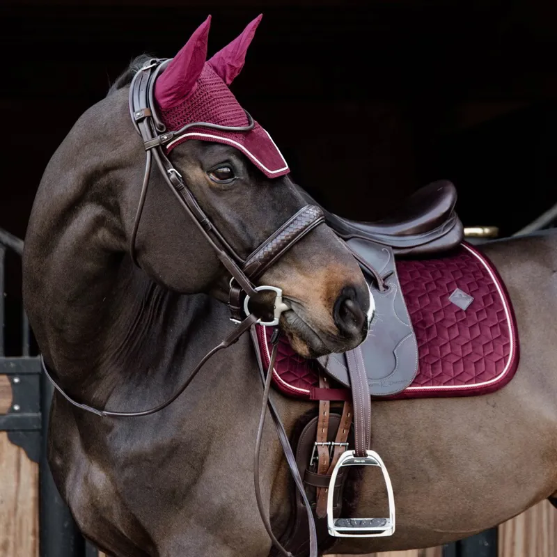 Kentucky Wellington Velvet Ear Bonnet - Bordeaux-3