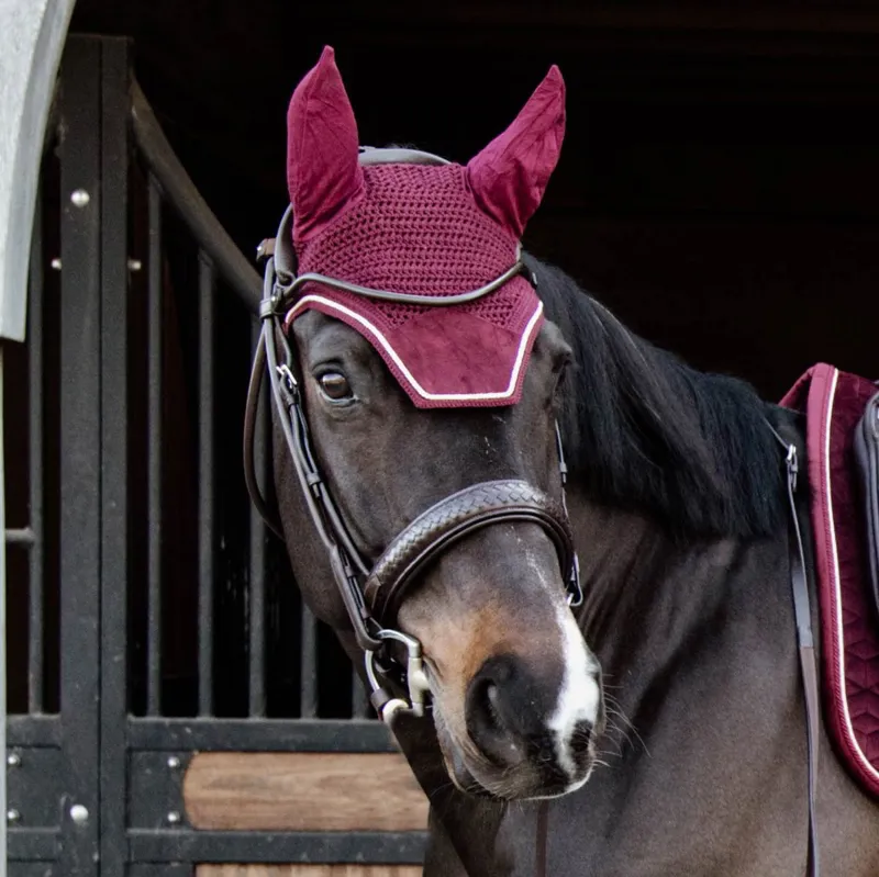 Kentucky Wellington Velvet Ear Bonnet - Bordeaux-1