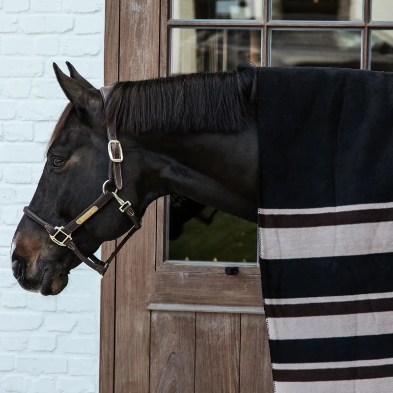 Kentucky Square Heavy Fleece Striped Blanket-1