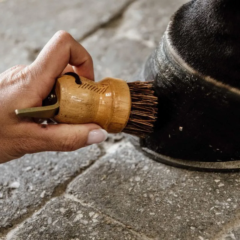 Grooming Deluxe Small Hoof Pick