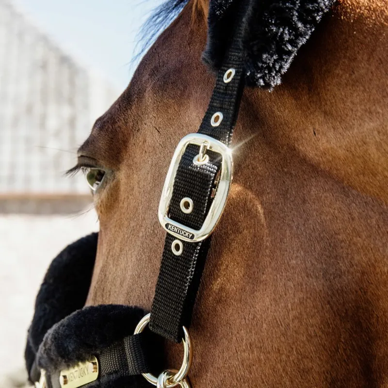Kentucky Soft Nylon Sheepskin Halter - Black-2