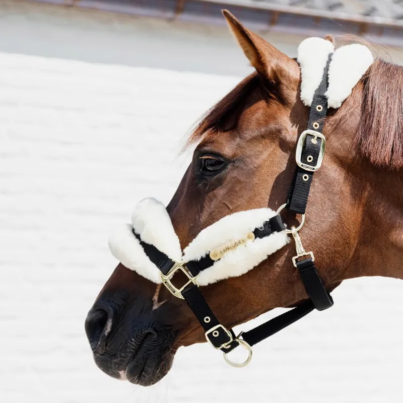 Kentucky Soft Nylon Sheepskin Halter - Natural