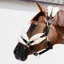 Kentucky Soft Nylon Sheepskin Halter - Natural