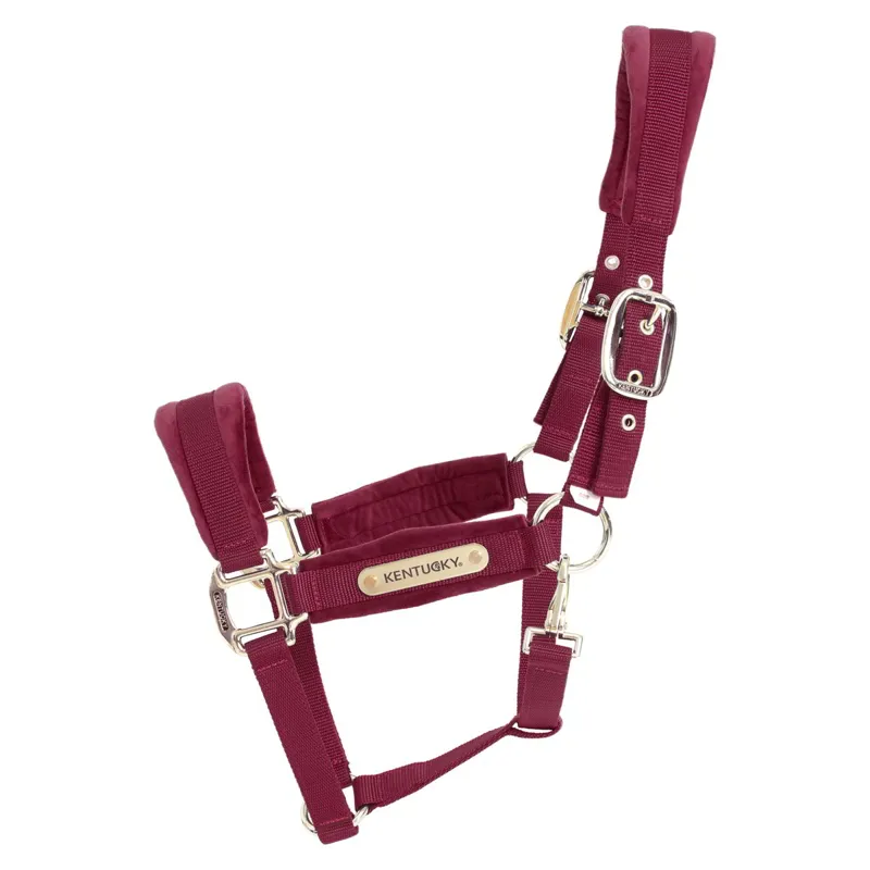 Kentucky Velvet Halter - Bordeaux-1