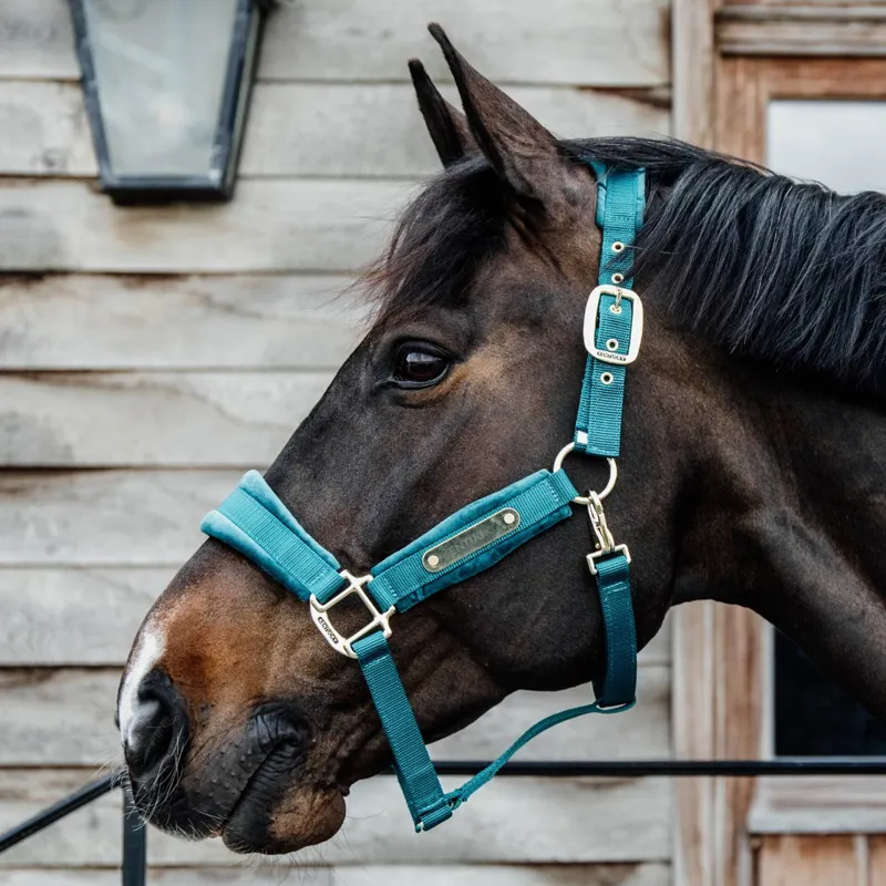 Kentucky Velvet Halter - Emerald