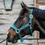 Kentucky Velvet Halter - Emerald