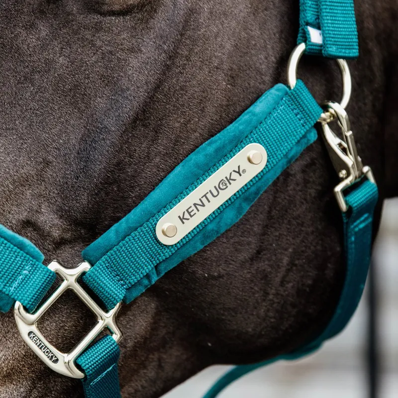 Kentucky Velvet Halter - Emerald-2