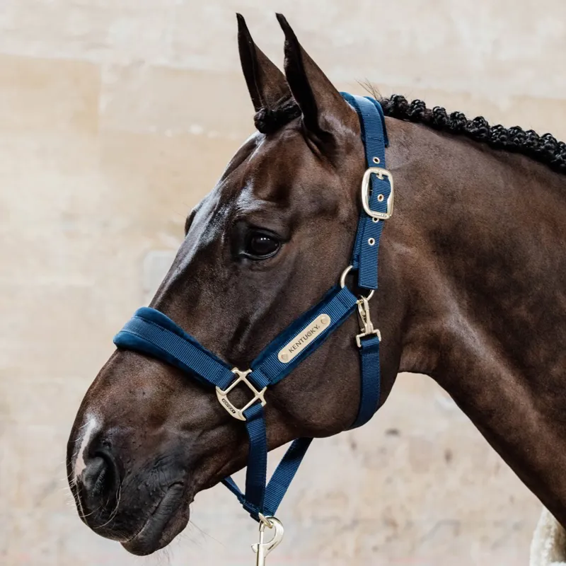 Kentucky Velvet Halter - Navy