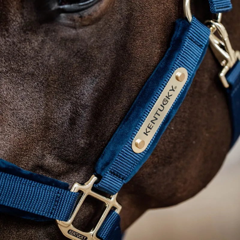 Kentucky Velvet Halter - Navy-2